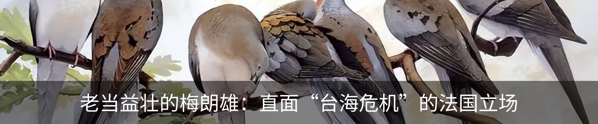 新闻中心