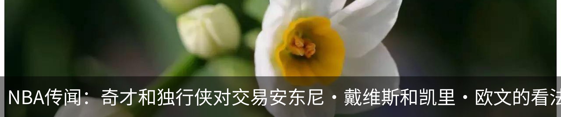 新闻中心